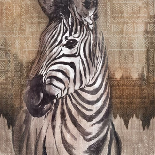 Zebra